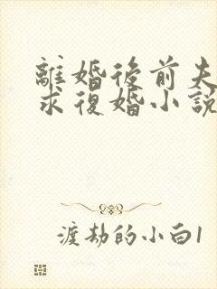 离婚后前夫哭着求复婚小说版