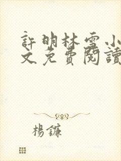 许明林雪小说全文免费阅读