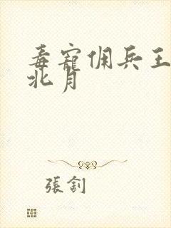 毒宠佣兵王妃君北月