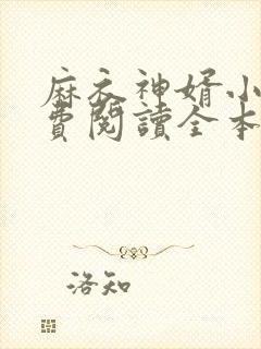 麻衣神婿小说免费阅读全本封面