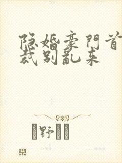 隐婚豪门首席总裁别乱来封面