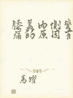 膝盖内侧弯曲疼痛的原因有哪些封面