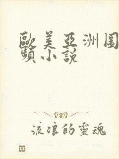 欧美亚洲图片视频小说