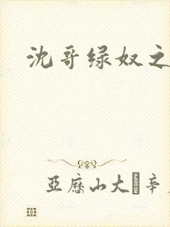 沈哥绿奴之路封面