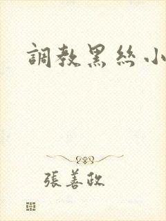 调教黑丝小母狗封面