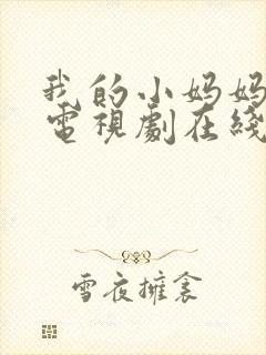 我的小妈妈韩剧电视剧在线观看免费版