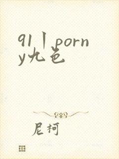 91丨porny九色封面