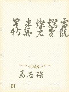 星光灿烂电视剧45集免费观看