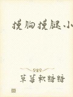 摸胸摸腿小说封面