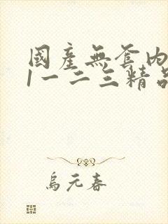 国产无套内射91一二三精品