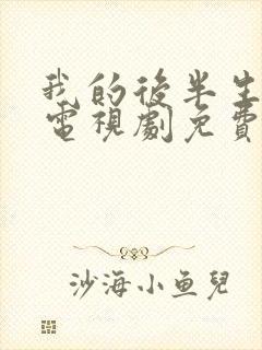 我的后半生观看电视剧免费版高清