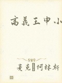 高义王申小说