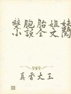 双胞胎姐妹换夫小说全文阅读