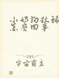 小奶狗拉稀带血怎么回事