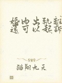 婚内出轨离婚后还可以起诉吗