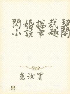 闪婚总裁契约妻小说笔趣阁