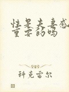 性是夫妻感情最重要的吗