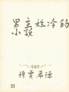 男主姓冷的所有小说