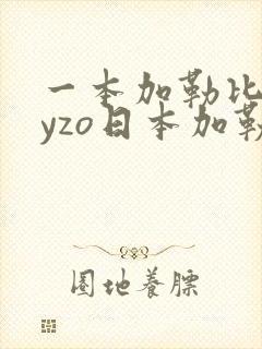 一本加勒比heyzo日本加勒比封面