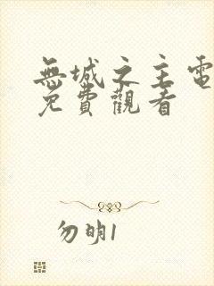 无城之主电视剧免费观看封面