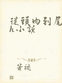 从头肉到尾的高h小说