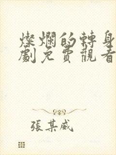 灿烂的转身电视剧免费观看完整版