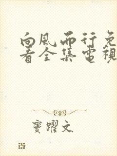 向风而行免费观看全集电视剧剧情