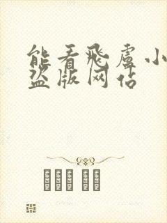 能看飞卢小说的盗版网站