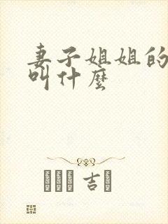 妻子姐姐的老公叫什么封面