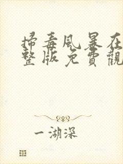 扫毒风暴在线完整版免费观看国语版