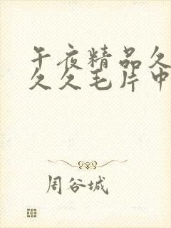 午夜精品久久久久久毛片中国大国产