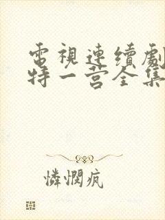 电视连续剧我的特一营全集完整版