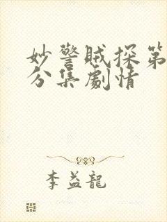 妙警贼探第四季分集剧情封面