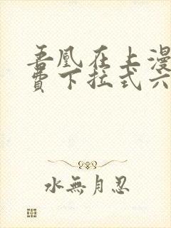 吾凰在上漫画免费下拉式六漫画