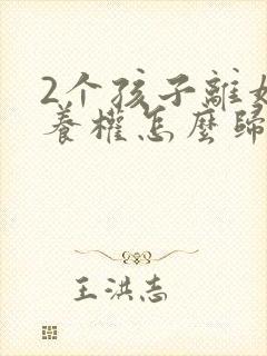 2个孩子离婚抚养权怎么归属