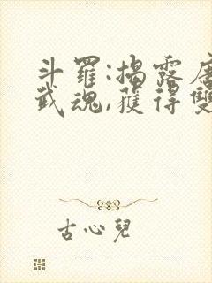 斗罗:揭露唐三武魂,获得双穿门 寒三万封面