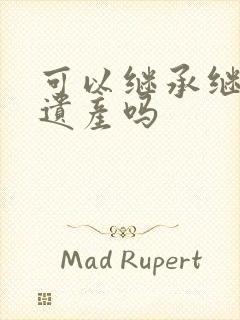 可以继承继父的遗产吗封面