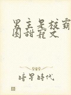 男主是校霸的校园甜宠文