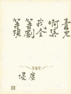 等等我啊青春电视剧全集免费观看封面