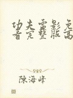 功夫电影免费观看完整版高清国语