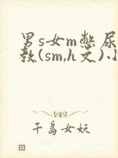 男s女m憋尿调教(sm,h文)小说