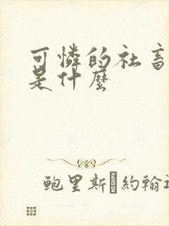 可怜的社畜讲的是什么