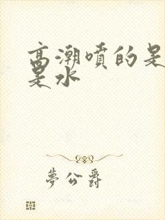 高潮喷的是尿还是水