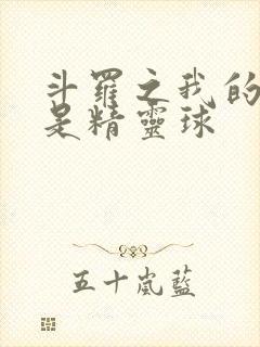 斗罗之我的武魂是精灵球