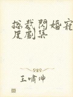 总裁闪婚宠妻无度剧集