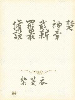 修罗武神楚枫小说最新章