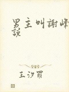 男主叫谢峰的小说