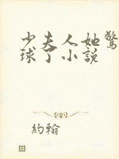 少夫人她惊艳全球了小说封面