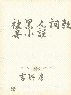 被黑人调教的娇妻小说封面