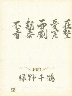 不期而爱在线观看泰剧完整版